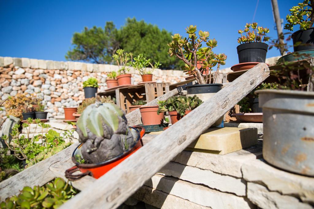 Agriturismo La Palascia Masseria Agreste Отранто Номер фото